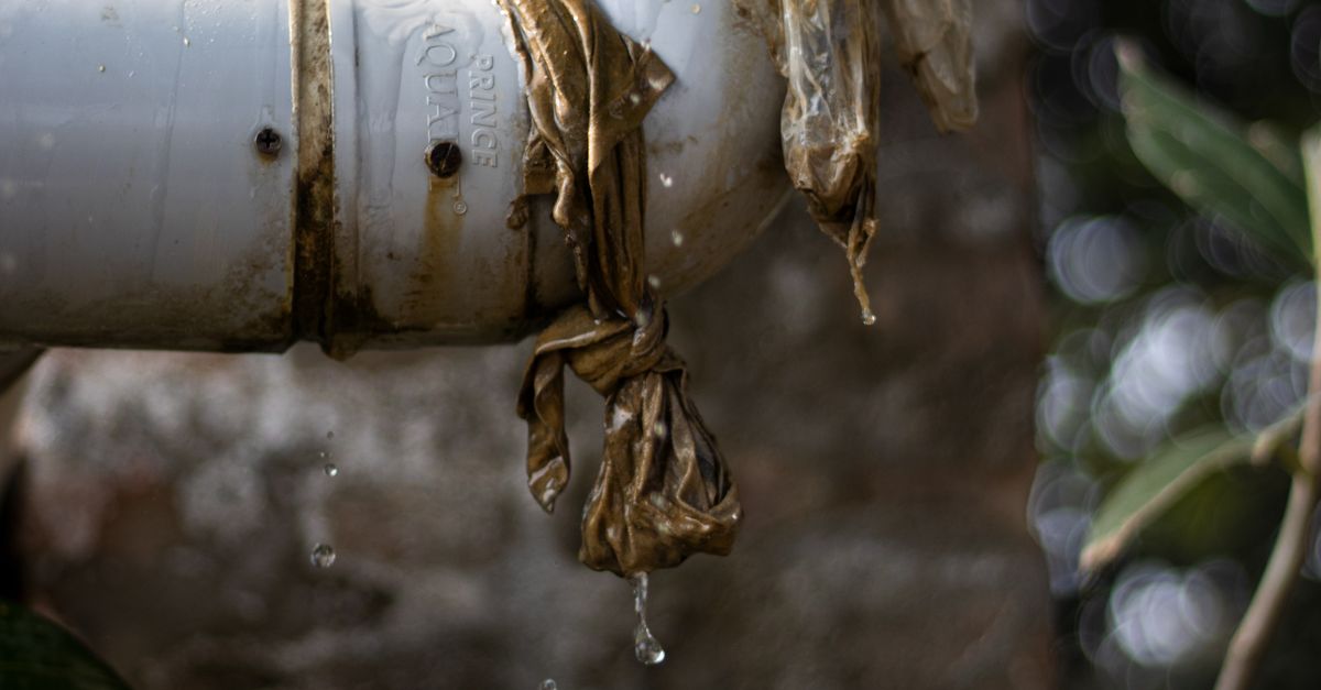 Best Practices for Cleaning and Maintaining Kitchen Drains