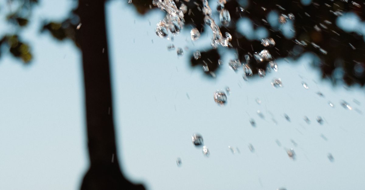 Effective Strategies for Managing Commercial Drainage Issues in Hervey Bay