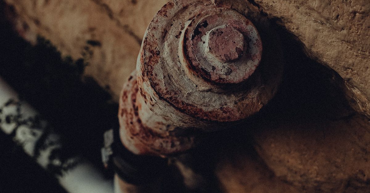 Integrating Sustainability into Commercial Plumbing Systems
